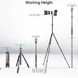ARTCISE 76.4 Carbon Fiber Camera Tripod With34mm Low Profile Ball Head Compact
