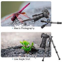 ARTCISE Mini Table-Top Tripod Camera Carbon Fiber Stand Holder Ball Head Kit