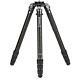 Benro Mammoth Carbon Fiber Tripod