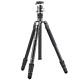 Benro Rhino 24c Carbon Fibre Travel Tripod Kit With Vx25 Ball Head