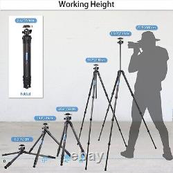 Carbon Fibre Tripod 165cm Camera Stand Compact Travel Tripod with 36MM Ball Head