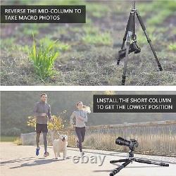 Compact Carbon Fiber Tripod Camera Tripod Special-Shaped Center Column Load 55lb