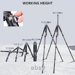 Compact Carbon Fiber Tripod Camera Tripod Special-Shaped Center Column Load 55lb