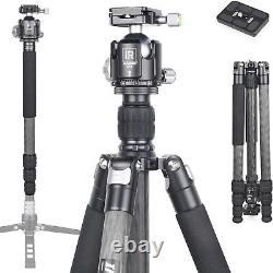 INNOREL Tripod Carbon Fiber 29MM Tube 20KG Weight Limit for Camera RT75C