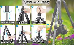 INNOREL Tripod Carbon Fiber 29MM Tube 20KG Weight Limit for Camera RT75C