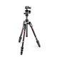 Manfrotto Befree Advanced Carbon Fiber Tripod With 494 Center Ball Head