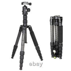 Professional Carbon Fiber Tripod Kit Wtih 360° Ball Head for DSLR Camera