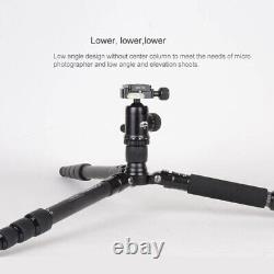 Professional Carbon Fiber Tripod Kit Wtih 360° Ball Head for DSLR Camera