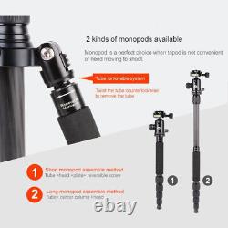 Professional Carbon Fiber Tripod Kit Wtih 360° Ball Head for DSLR Camera