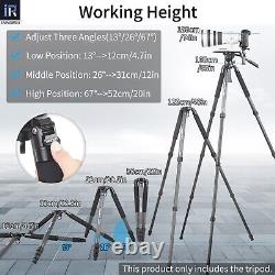 RT80C+BL75 CarbonFiber Tripod Professional Bowl Tripod Birdwatching Camera Stand