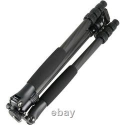 Sirui T-024SK Carbon Fiber Tripod with B-00 Ball Head Compact and lightweight