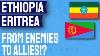 Why Is Eritrea Fighting Alongside Ethiopia In Tigray